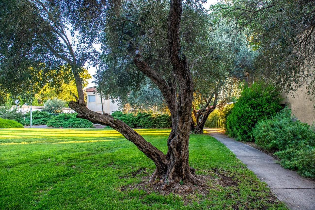 כפר הנופש קיבוץ גדות Kibbutz Gadot Galilean Resort 외부 사진