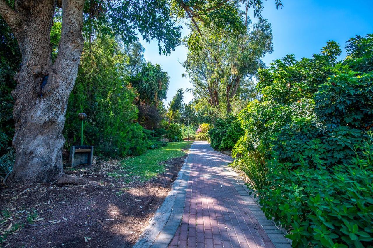 כפר הנופש קיבוץ גדות Kibbutz Gadot Galilean Resort 외부 사진