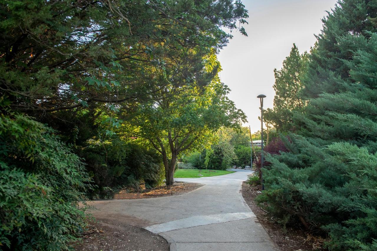 כפר הנופש קיבוץ גדות Kibbutz Gadot Galilean Resort 외부 사진