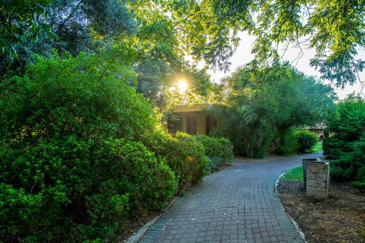 כפר הנופש קיבוץ גדות Kibbutz Gadot Galilean Resort 외부 사진