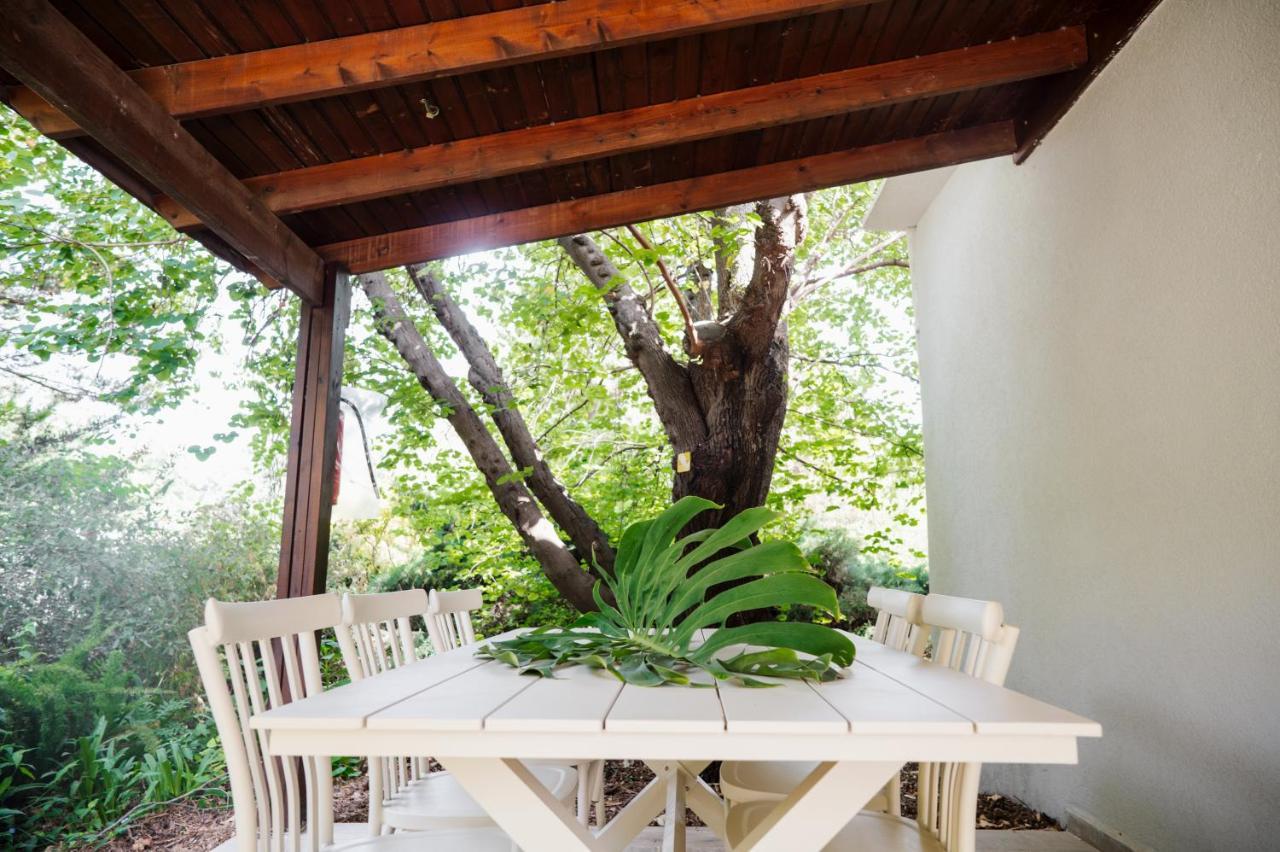 כפר הנופש קיבוץ גדות Kibbutz Gadot Galilean Resort 외부 사진